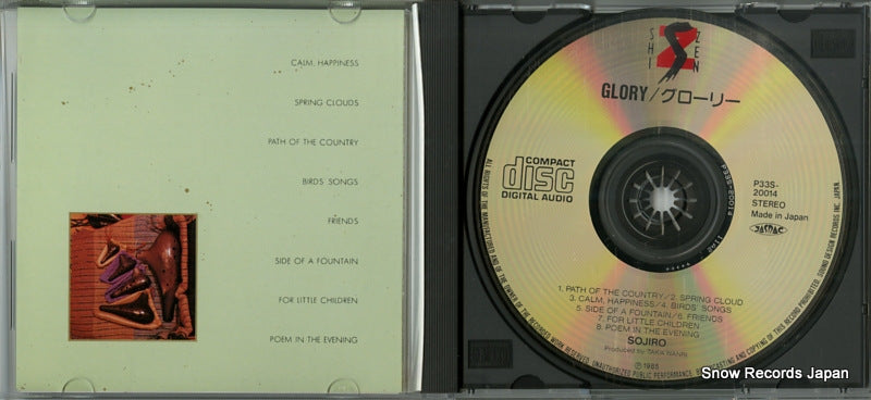 P33S-20014 disc