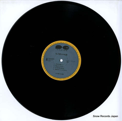 C25A0591 disc