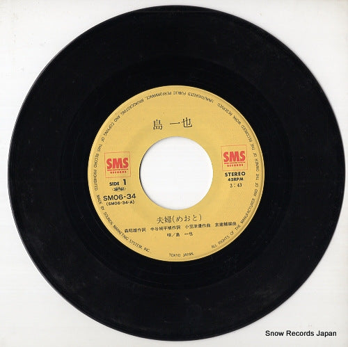 SM06-34 disc