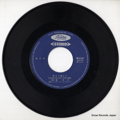 TP-1197 disc