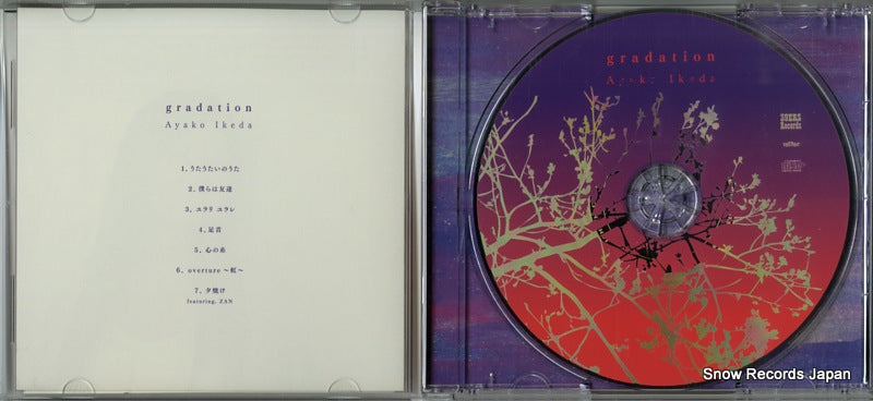 39AL-13 disc