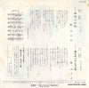 AK-81 back cover