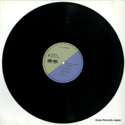 C28A0362 disc