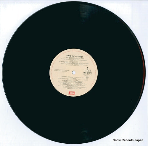 EMS-91073 disc