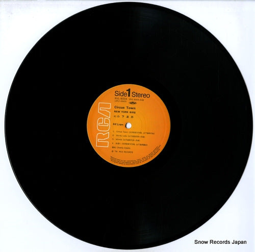 RVL-8004 disc