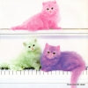 7DX-1364 back cover