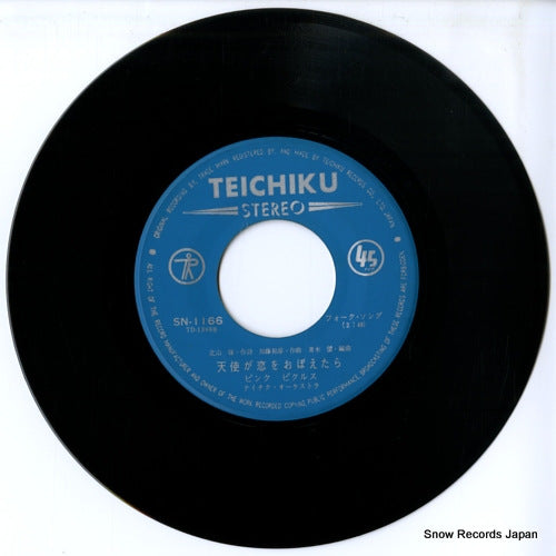SN-1166 disc