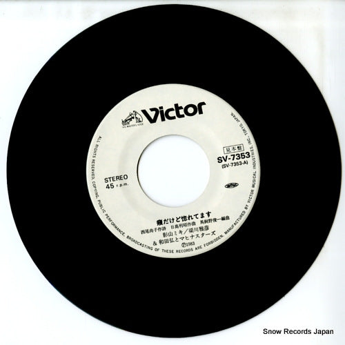 SV-7353 disc