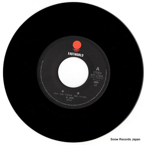 WTP-17934 disc