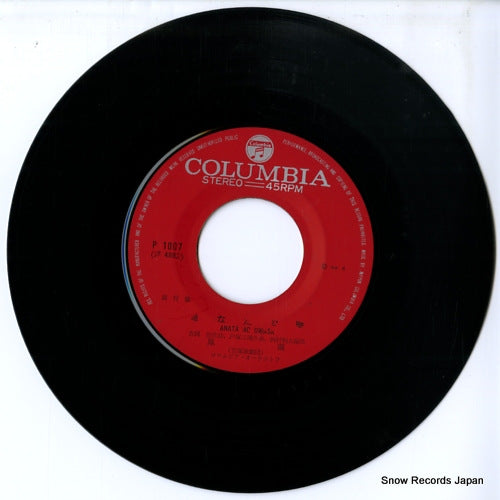 P-1007 disc