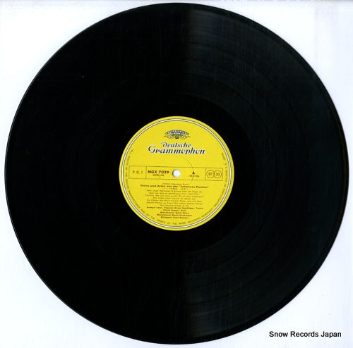 MGX7029 disc