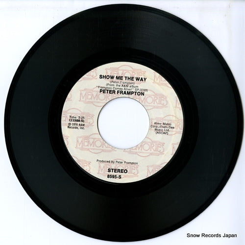 8595-S disc