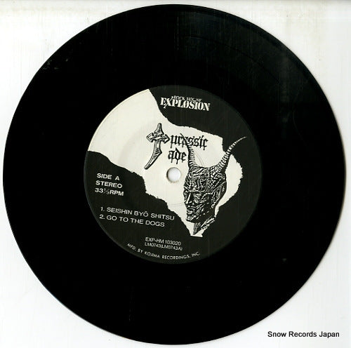 EXP-HM-103020 disc