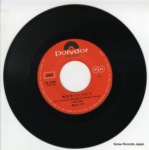 DR6306 disc