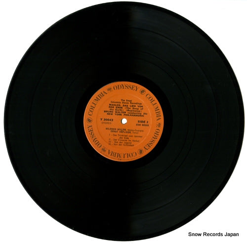 Y30043 disc