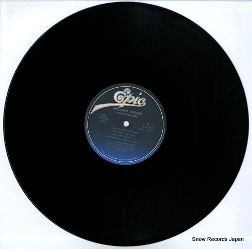 20.3P-794 disc