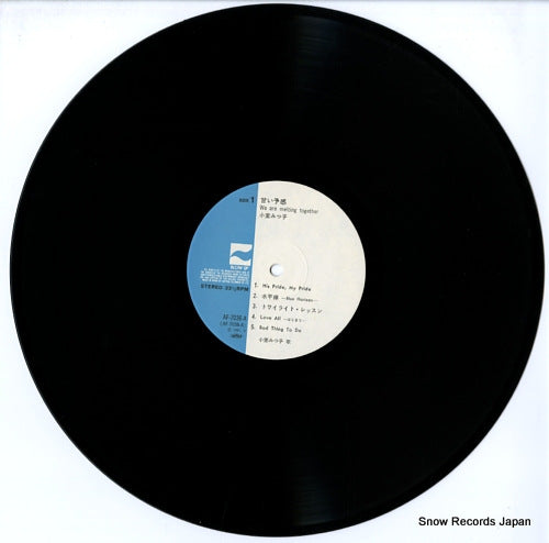 AF-7036-A disc