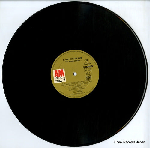 AML301 disc