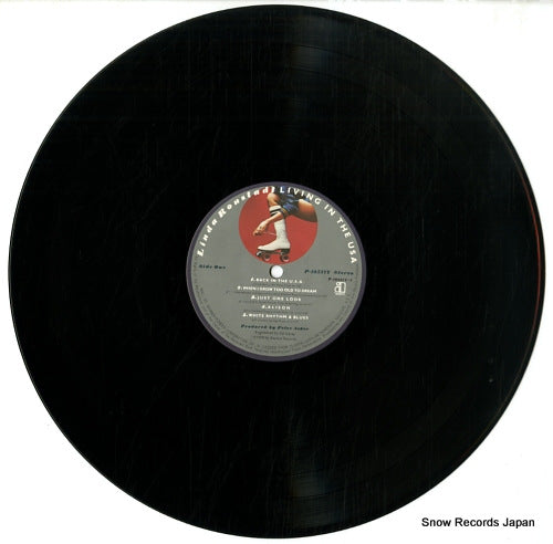P-10521Y disc