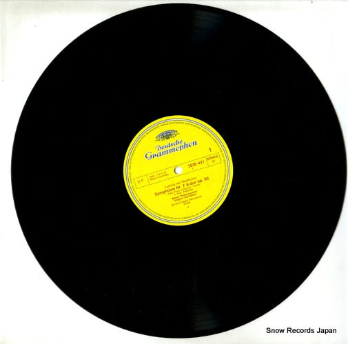 2530421 disc
