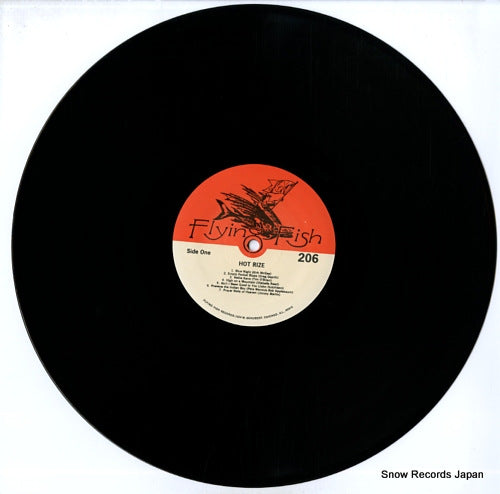 FF206 disc