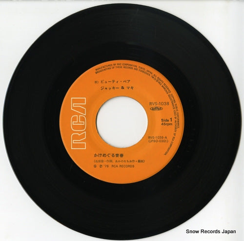 RVS-1038 disc