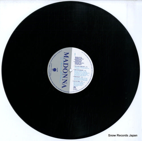 P-13310 disc