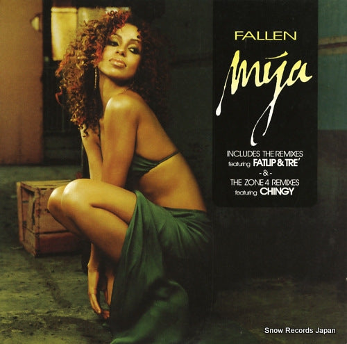 MYA fallen AMRR-11049-1