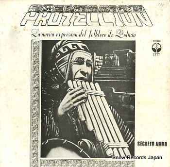 PROYECCION secreto amor SLP2377