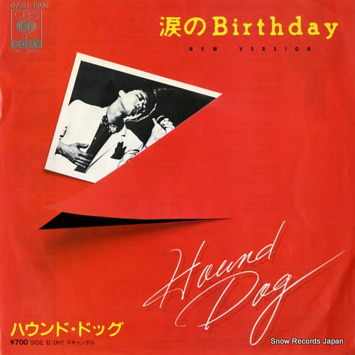HOUND DOG namida no birthday 07SH1200