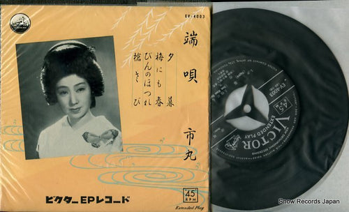 ICHIMARU hauta EV-4003