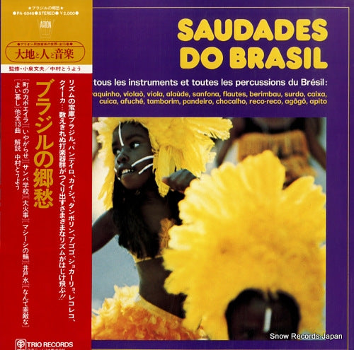 L'ENSEMBLE AMARO DE SOUZA saudades do brasil PA-6046