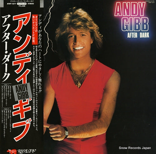 GIBB, ANDY after dark MWF1077