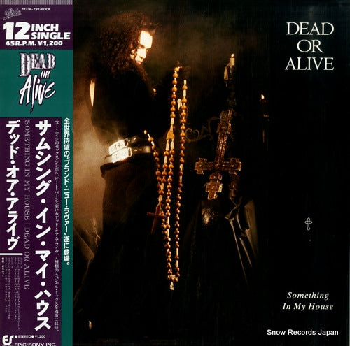 DEAD OR ALIVE something in my house 12.3P-792