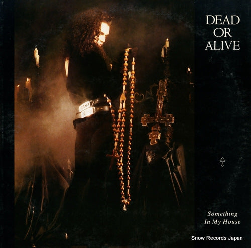 DEAD OR ALIVE something in my house 12.3P-792