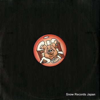 RSK t2000 PIG003