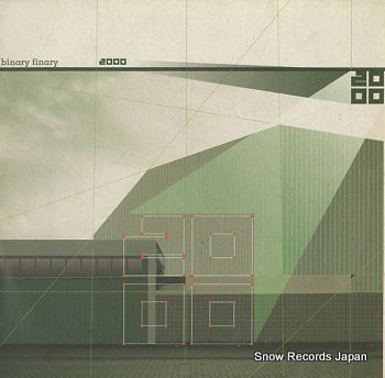 FINARY, BINARY 2000 DMDORBIT040