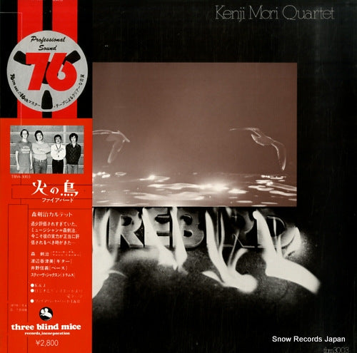 MORI, KENJI firebird TBM-3003