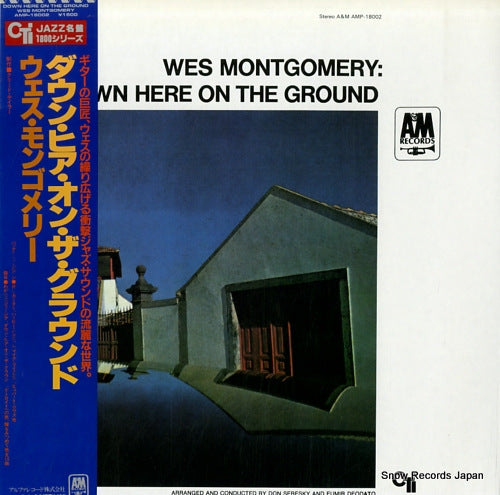 MONTGOMERY, WES down here on the ground AMP-18002