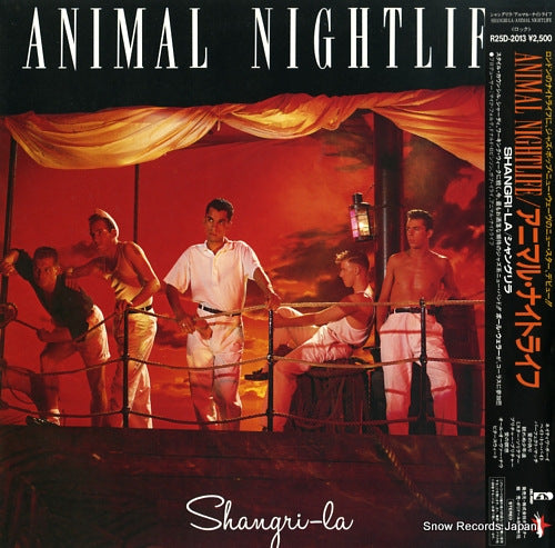 ANIMAL NIGHTLIFE shangri-la R25D-2013