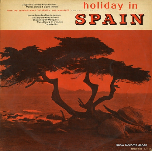 LOS MANUELES holiday in spain P.1242
