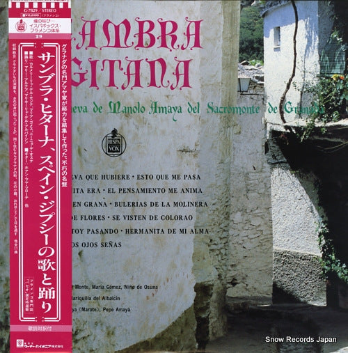 V/A zamba gitana G-7829