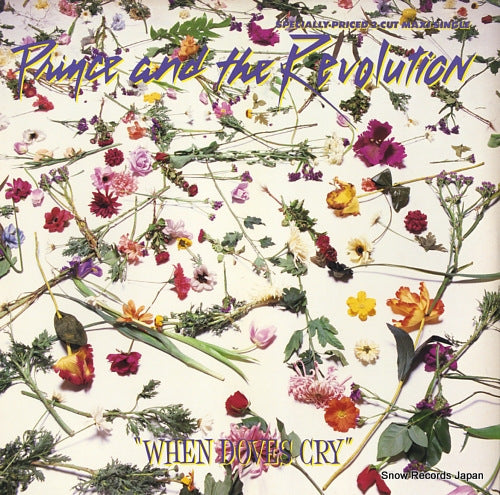 PRINCE AND THE REVOLUTION when doves cry 920228-0A