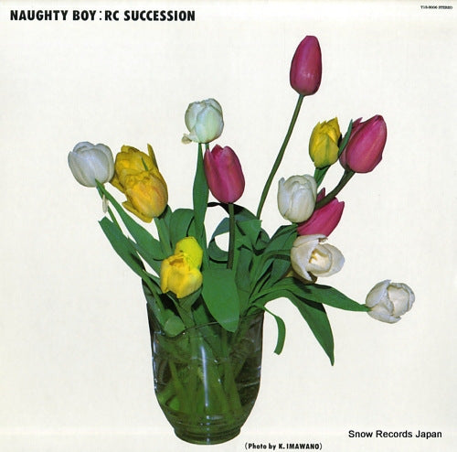 RC SUCCESSION naughty boy T15-5006