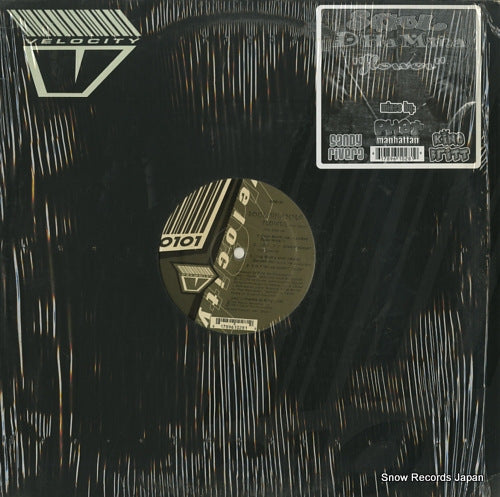 SOUL DHAMMA flower VR61028