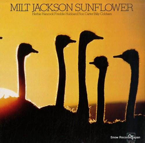 JACKSON, MILT sunflower SR3342