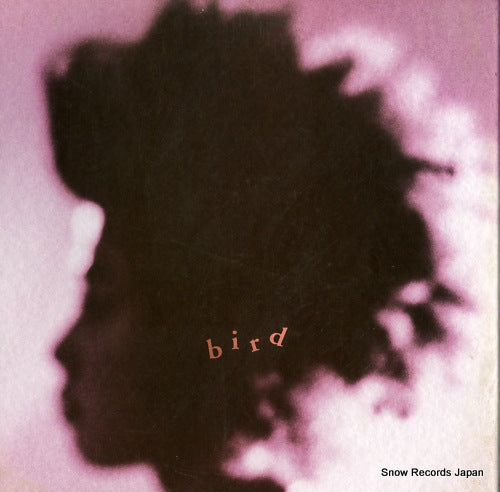 BIRD bird AIJT5048-50