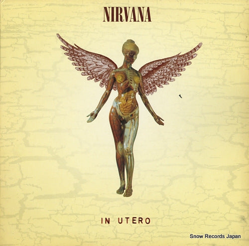 NIRVANA in utero GEF24536