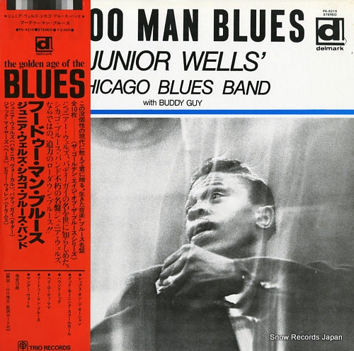 WELLS, JUNIOR hoodoo man blues PA-6215