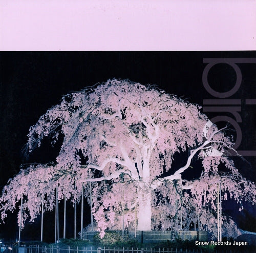 BIRD sakura AIJT5097